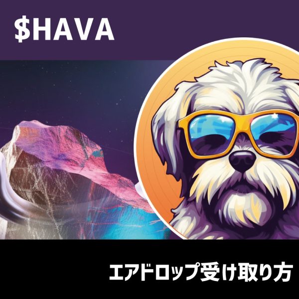 hava($hava)エアドロップ受け取り方